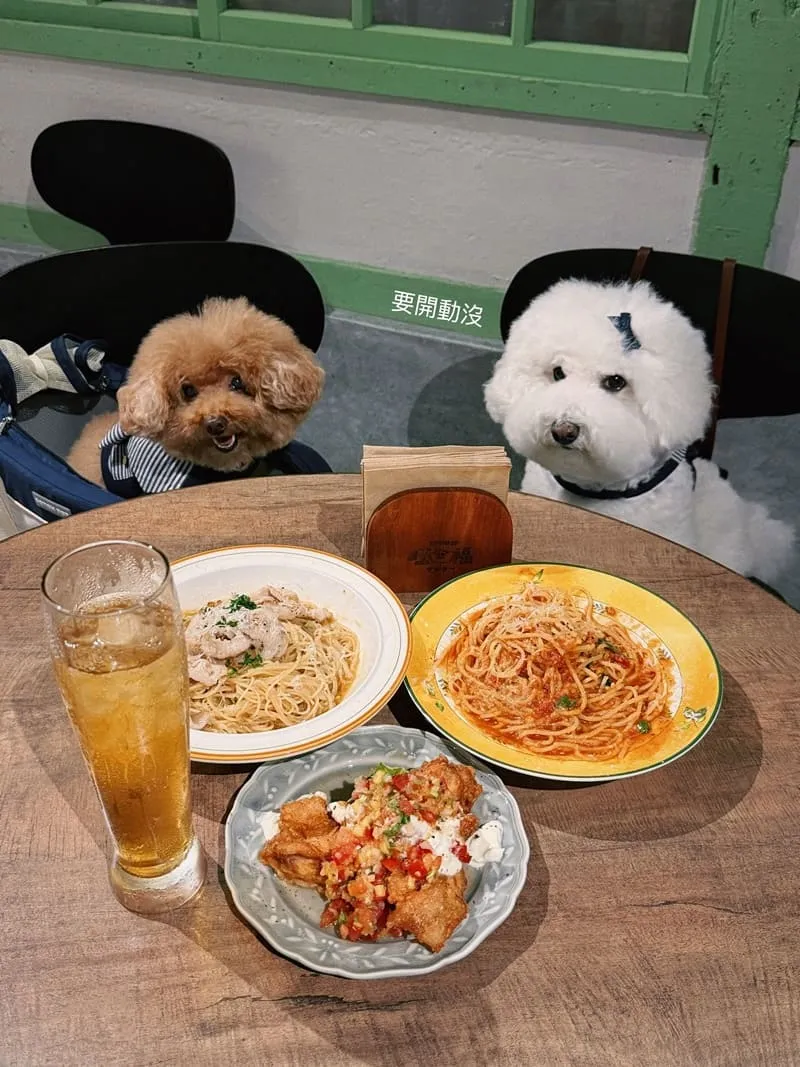 花蓮寵物友善餐廳推薦｜旺福 kitchen woow