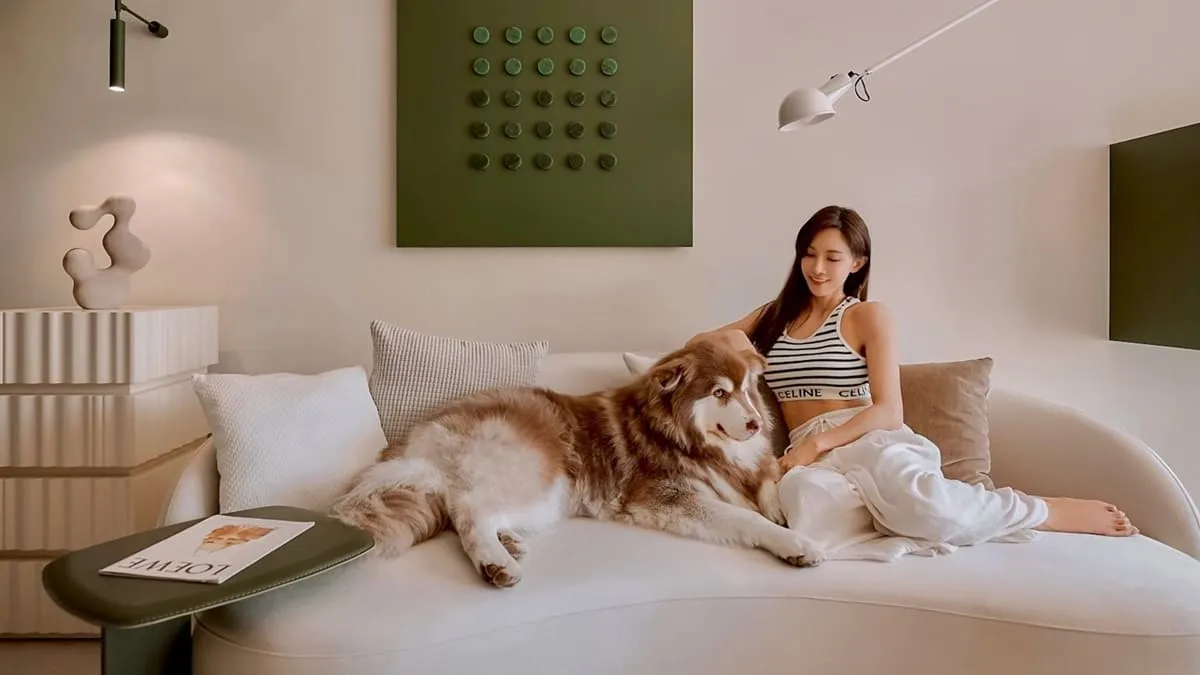 Liber 寵物沙發推薦