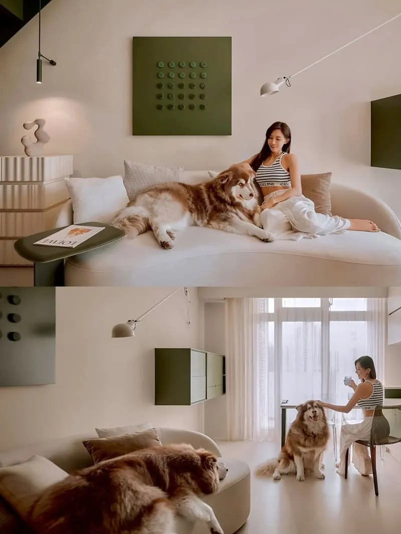 Liber 寵物沙發推薦