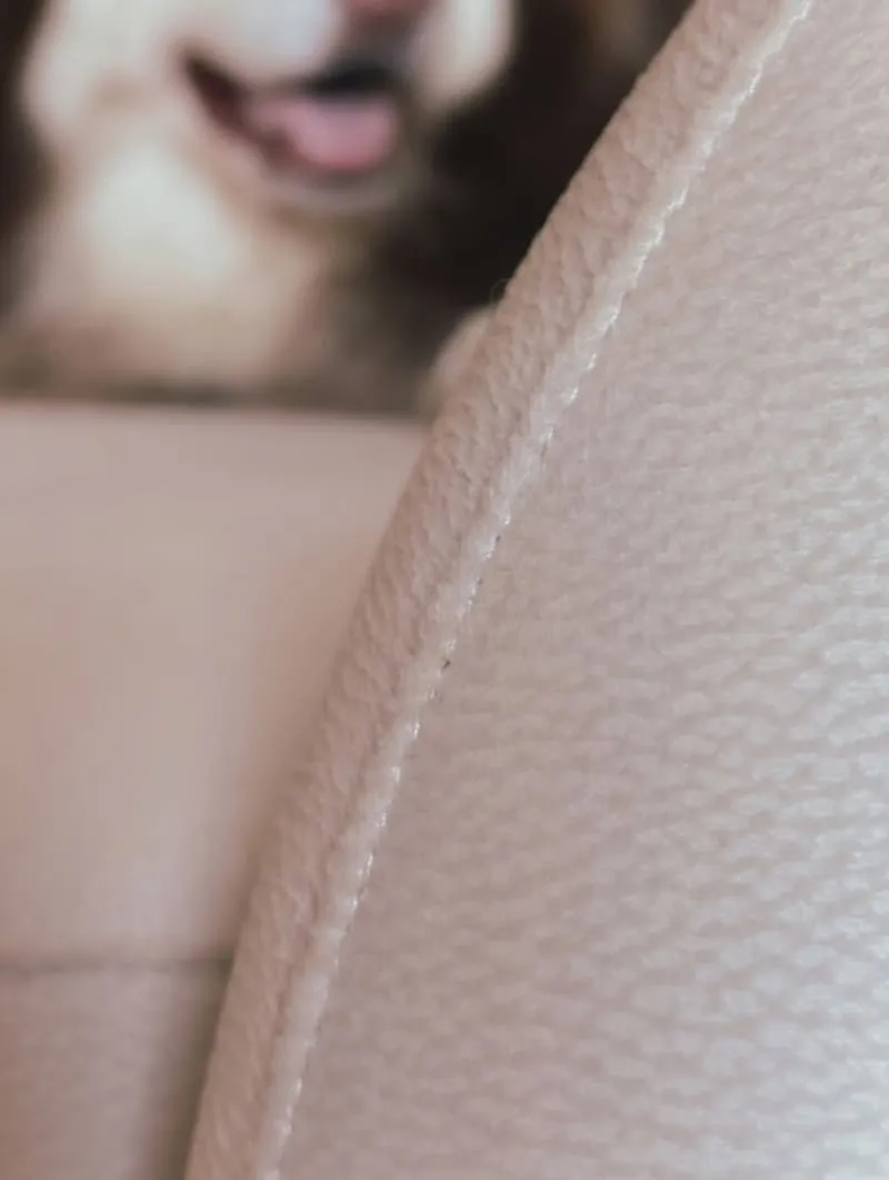 Liber 寵物沙發推薦