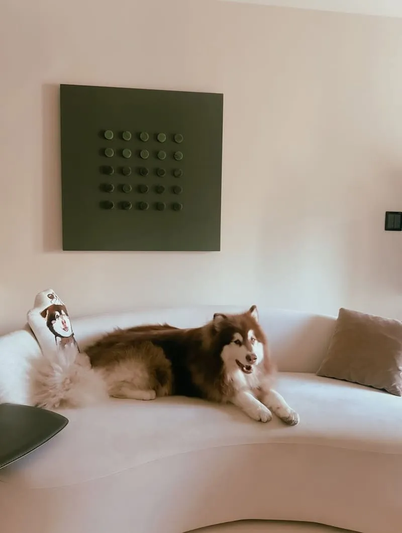 Liber 寵物沙發推薦