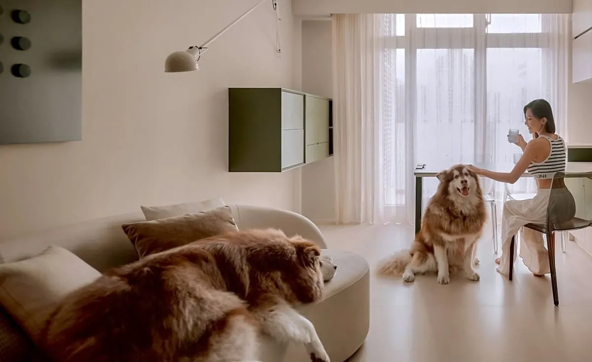 Liber 寵物沙發推薦