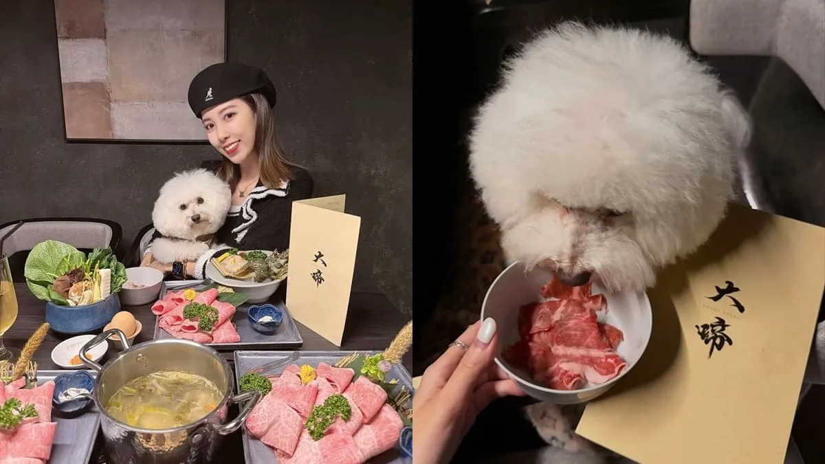 大啼shabu shabu 寵物友善火鍋