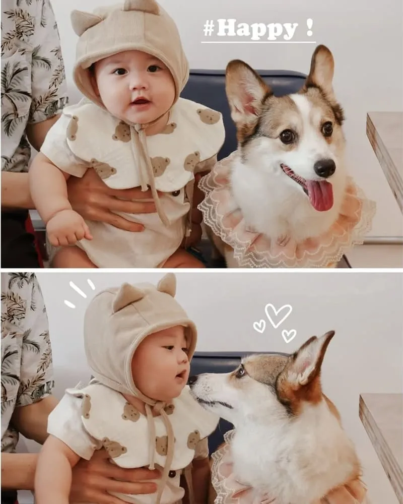 腦波食驗室 高雄狗狗友善餐廳|毛孩可落地上椅子,寵物餐與生日派對都能辦 13 腦波食驗室 寵物友善餐廳