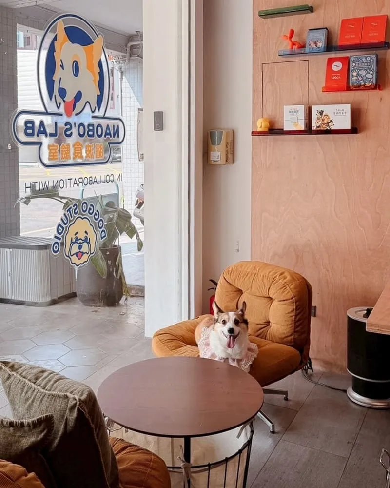 腦波食驗室 高雄狗狗友善餐廳|毛孩可落地上椅子,寵物餐與生日派對都能辦 4 腦波食驗室 寵物友善餐廳