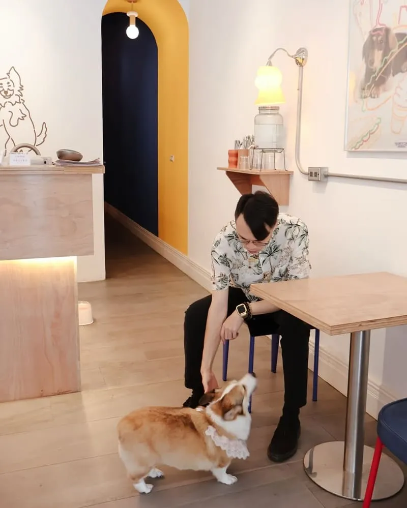 腦波食驗室 高雄狗狗友善餐廳|毛孩可落地上椅子,寵物餐與生日派對都能辦 6 腦波食驗室 寵物友善餐廳