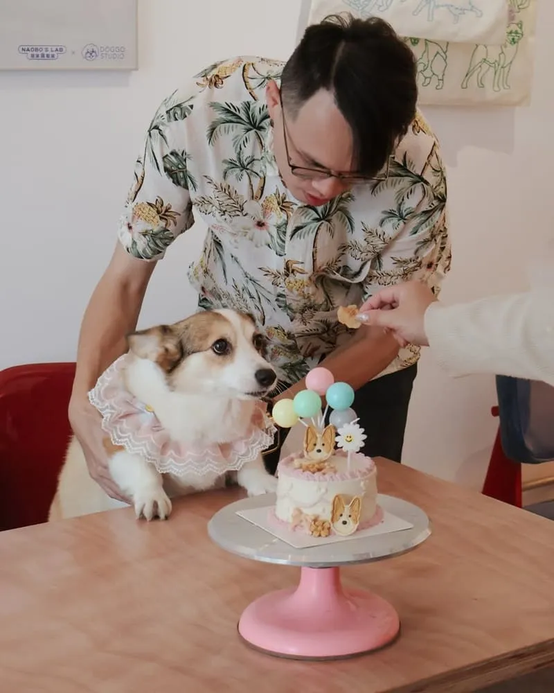 腦波食驗室 高雄狗狗友善餐廳|毛孩可落地上椅子,寵物餐與生日派對都能辦 7 腦波食驗室 寵物友善餐廳