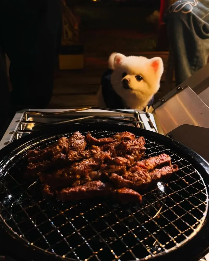 橘舍三食 苗栗寵物友善豪華露營