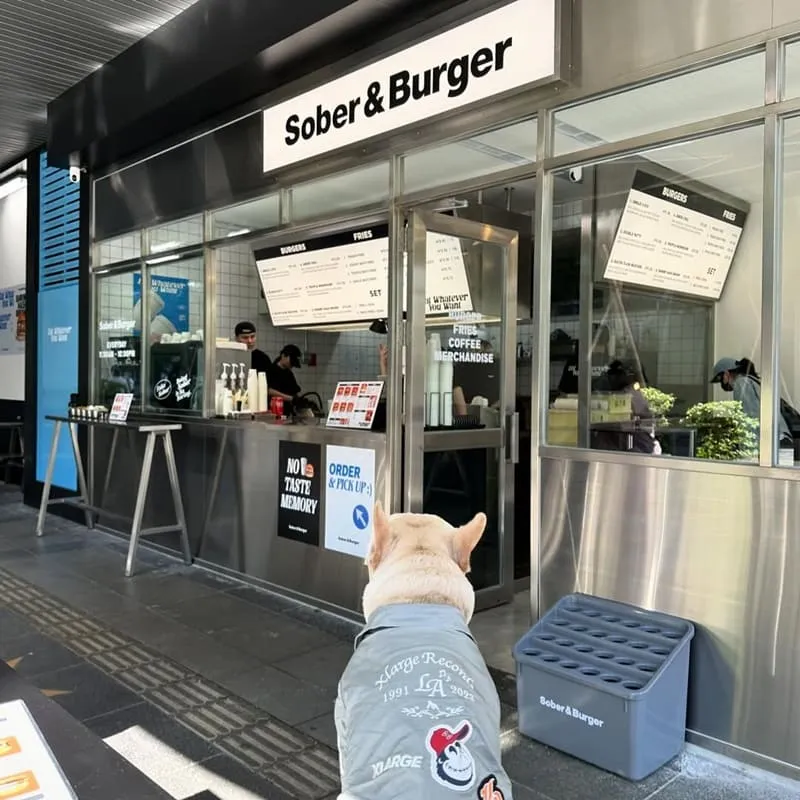 Sober & Burger 信義區寵物友善漢堡