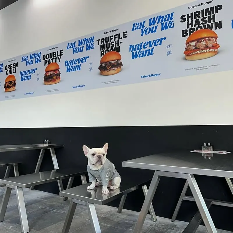 Sober & Burger 信義區寵物友善漢堡