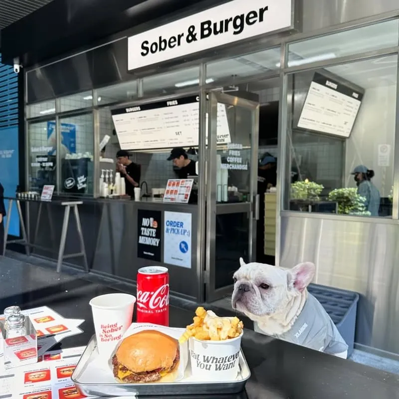 Sober & Burger 信義區寵物友善漢堡