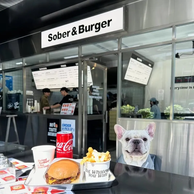 Sober & Burger 信義區寵物友善漢堡