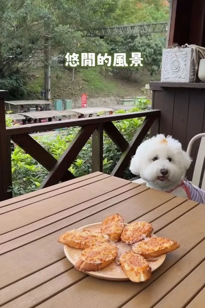 三丘景觀餐廳 苗栗三義寵物友善  