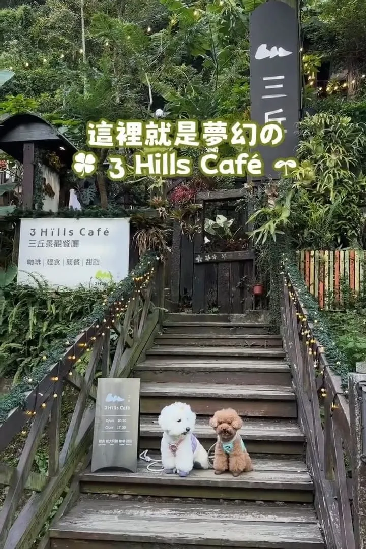 三丘景觀餐廳 苗栗三義寵物友善  
