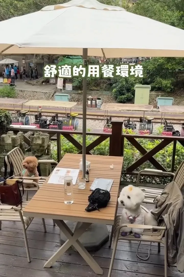 三丘景觀餐廳 苗栗三義寵物友善  