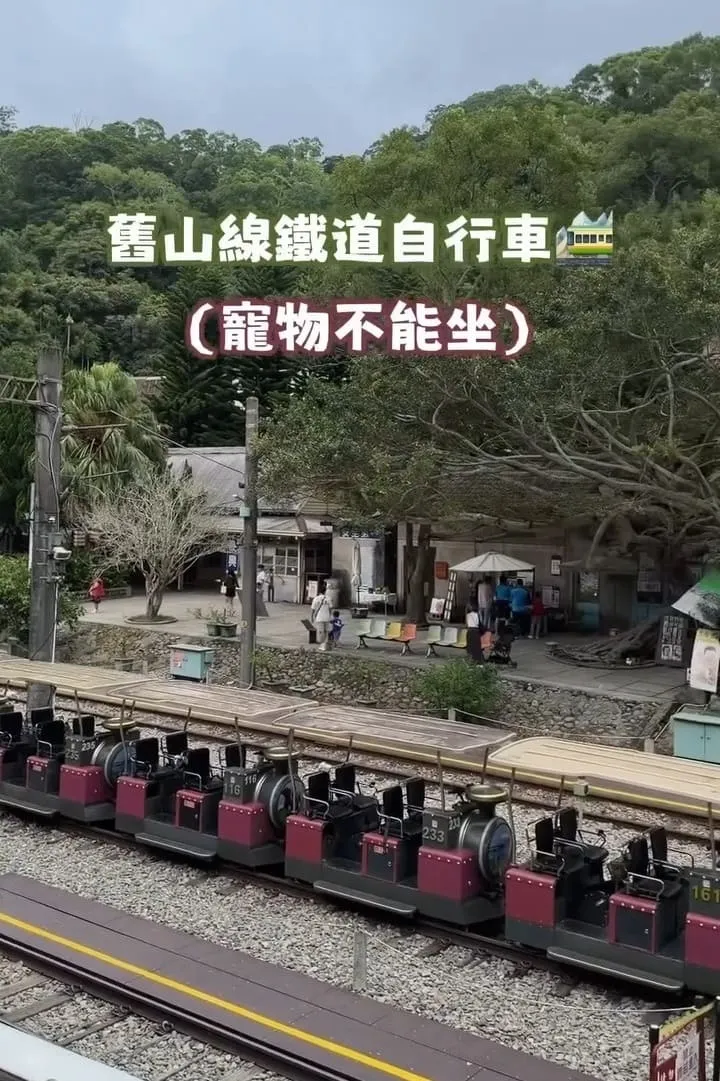 三丘景觀餐廳 苗栗三義寵物友善  