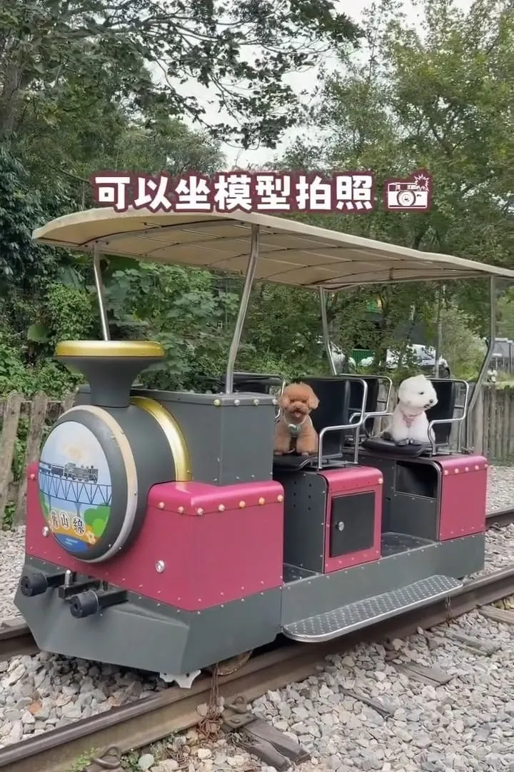 三丘景觀餐廳 苗栗三義寵物友善  