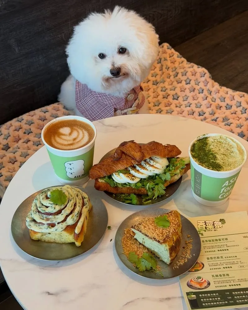 ASK for Cafe|台北寵物友善咖啡廳,帶毛孩吃香菜可頌的實訪筆記 10 ASK for Cafe|台北寵物友善咖啡廳