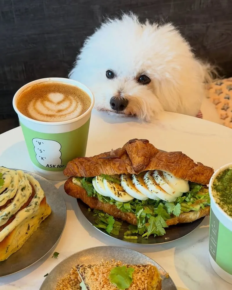 ASK for Cafe|台北寵物友善咖啡廳,帶毛孩吃香菜可頌的實訪筆記 11 ASK for Cafe|台北寵物友善咖啡廳