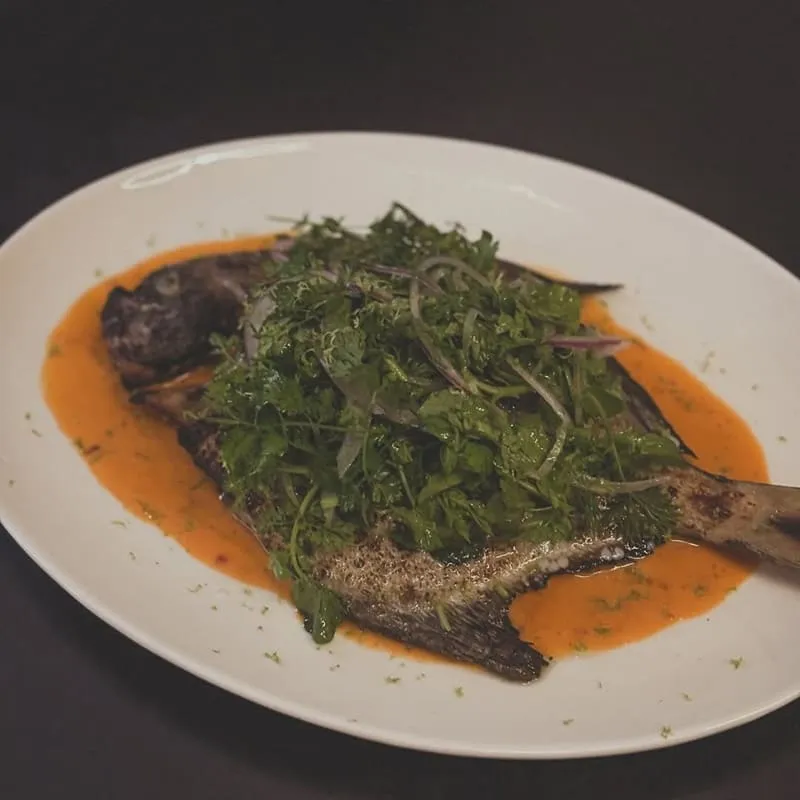 Bouillon 布雍家|必點菜色口碑清單:紅魽 ceviche、蝦湯滑蛋到羊鞍一次整理 16 bouillon bistro 14