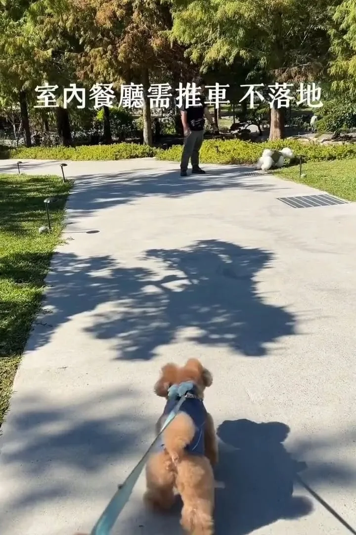 南投國姓寵物友善景點 春秋山林