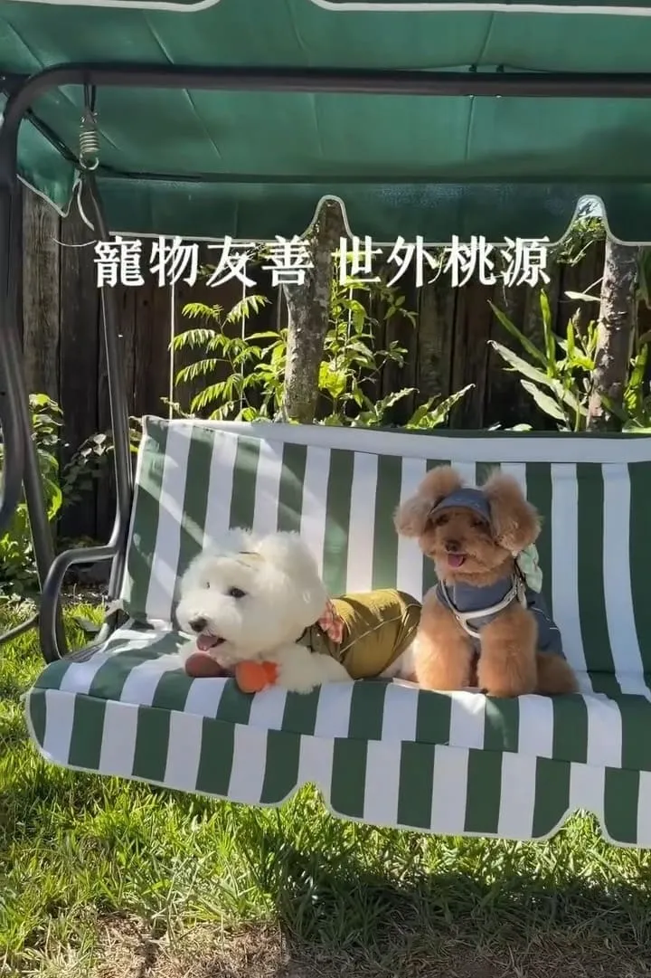 南投國姓寵物友善景點 春秋山林