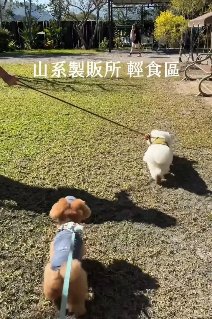 南投國姓寵物友善景點 春秋山林