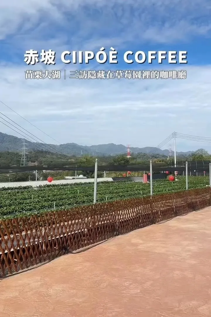 赤坡 CIIPOE 咖啡廳|苗栗大湖草莓季慢旅行:高架採草莓+草莓甜點推薦 10 赤坡 CIIPOE 咖啡廳