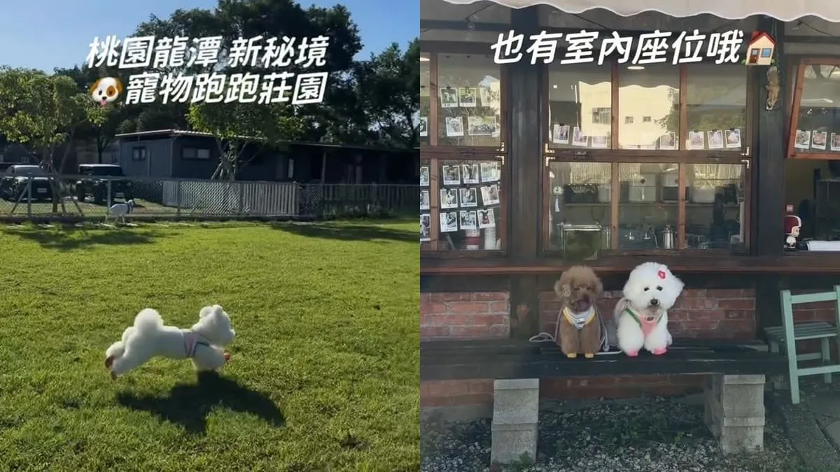 桃園龍潭大桔友善莊園寵物咖啡