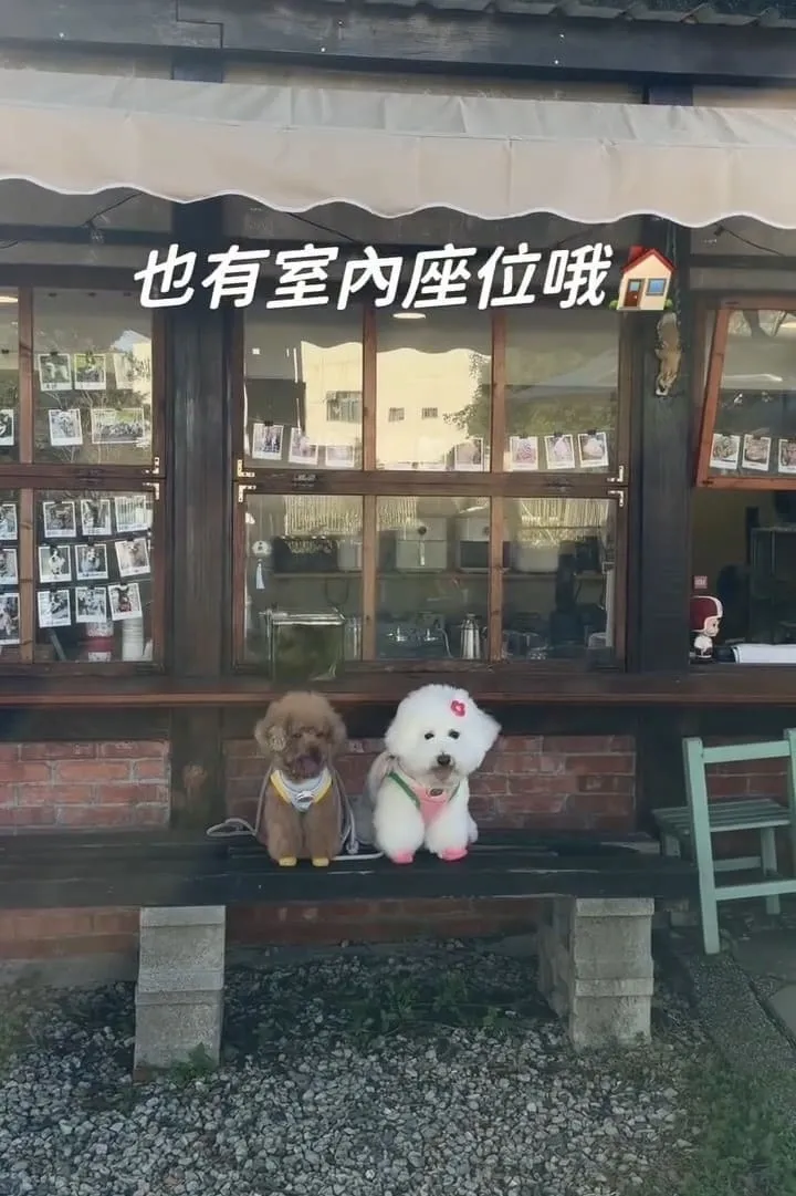 桃園龍潭大桔友善莊園寵物咖啡