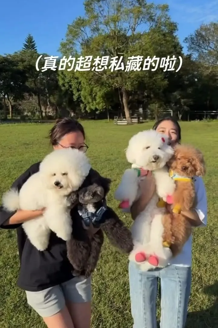 桃園龍潭大桔友善莊園寵物咖啡