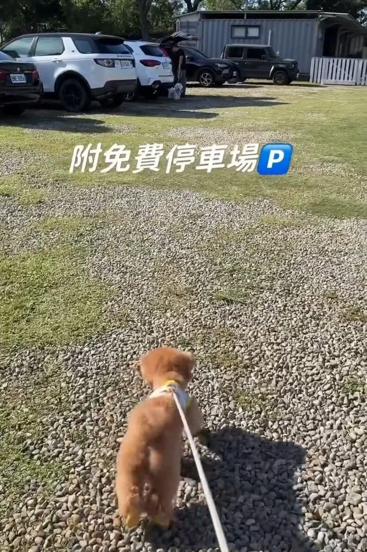 桃園龍潭大桔友善莊園寵物咖啡