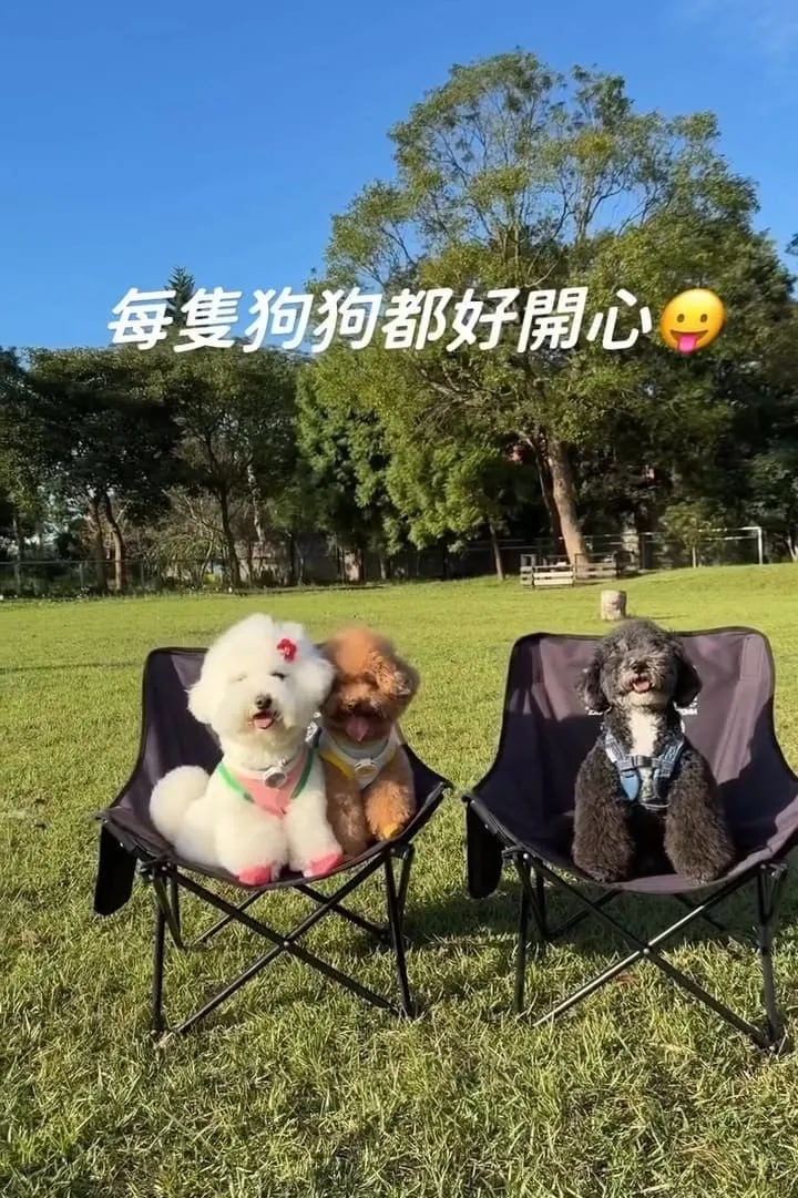 桃園龍潭大桔友善莊園寵物咖啡