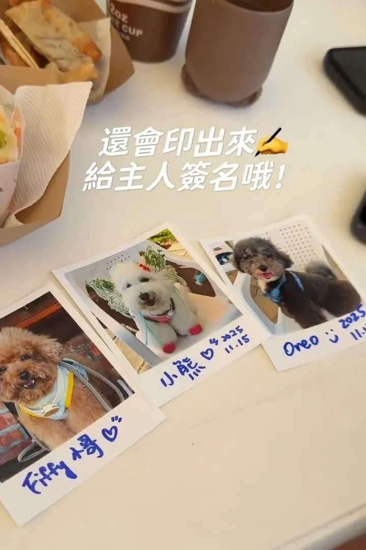 桃園龍潭大桔友善莊園寵物咖啡