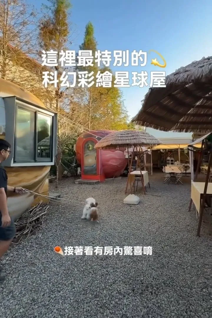 達雅奇跡星球寵物友善露營|南投毛孩親子一泊二食懶人營區推薦 3 達雅奇跡星球寵物友善露營