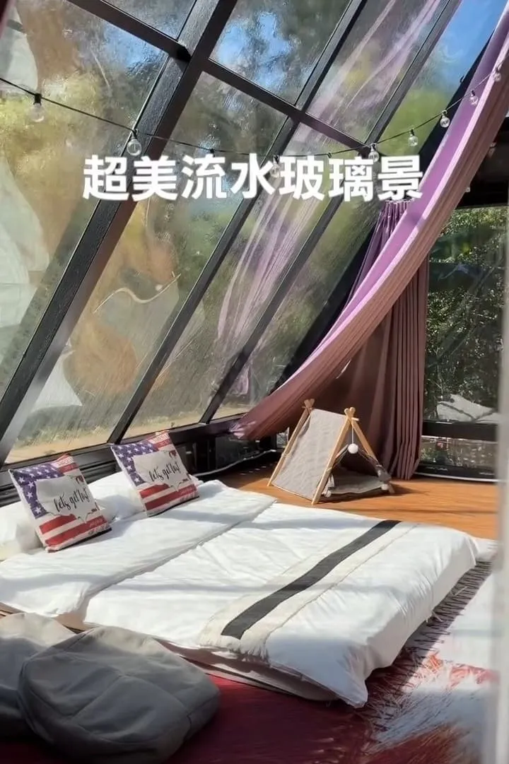 達雅奇跡星球寵物友善露營|南投毛孩親子一泊二食懶人營區推薦 8 達雅奇跡星球寵物友善露營