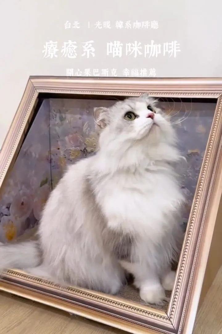 光暖 Glownest｜信義區手作甜點咖啡廳