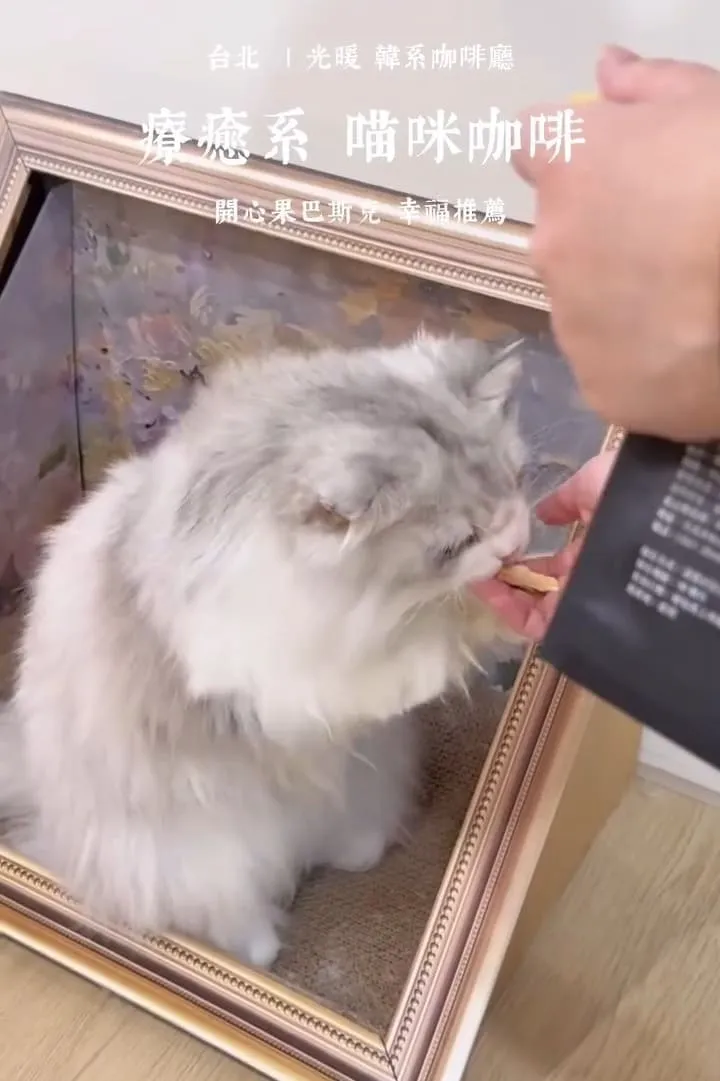 光暖 Glownest|信義區手作甜點咖啡廳,薄巧系列與伯爵生乳酪怎麼選 15 光暖 Glownest|信義區手作甜點咖啡廳