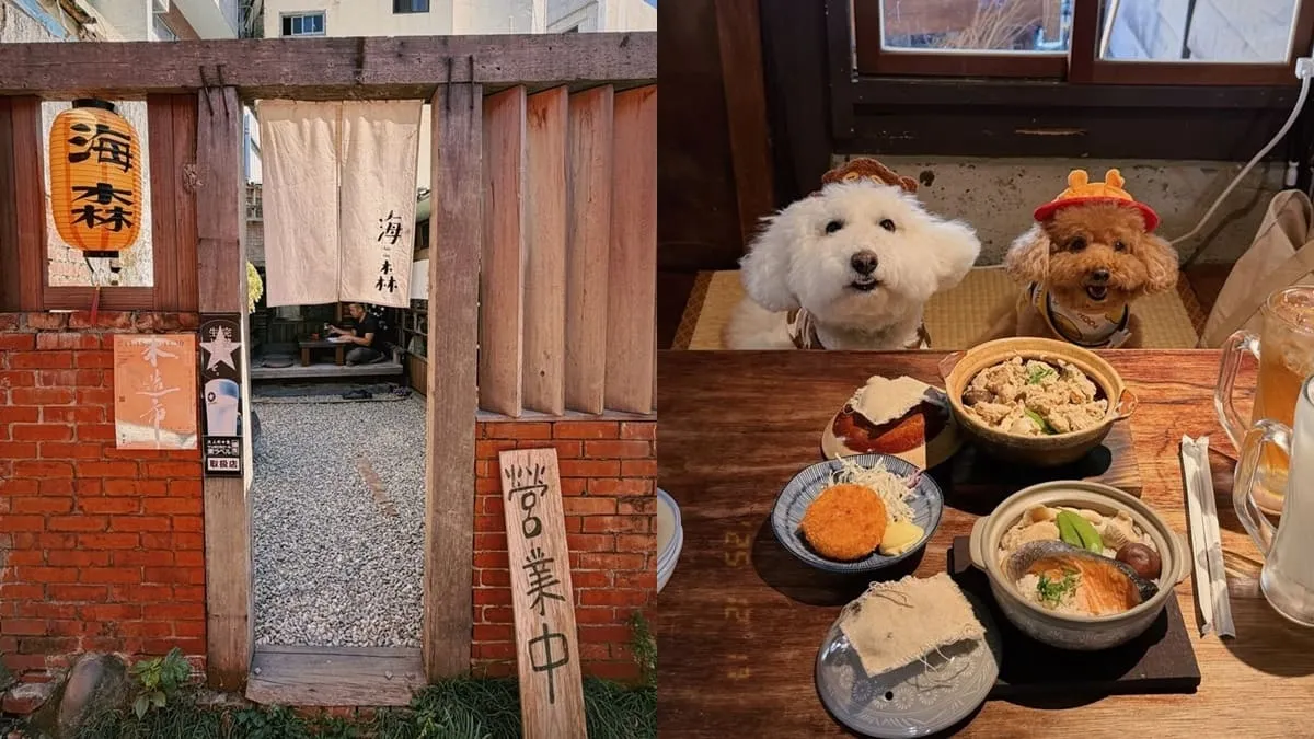 海森 Hisun｜嘉義寵物友善老宅食堂