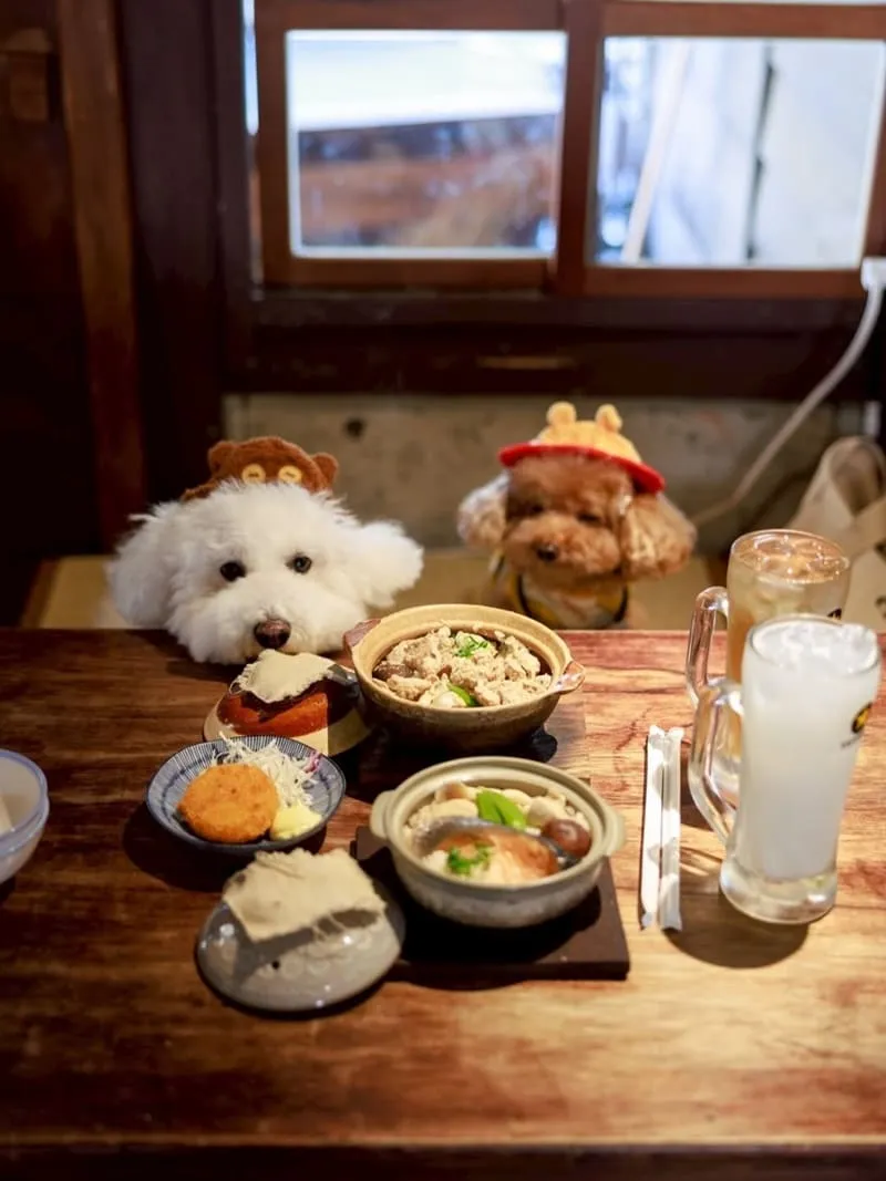 海森 Hisun|嘉義寵物友善老宅食堂,帶毛孩一起吃陶鍋炊飯 12 海森 Hisun|嘉義寵物友善老宅食堂