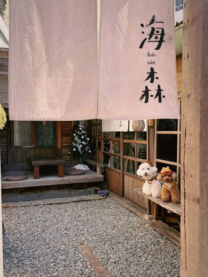 海森 Hisun|嘉義寵物友善老宅食堂,帶毛孩一起吃陶鍋炊飯 16 海森 Hisun|嘉義寵物友善老宅食堂