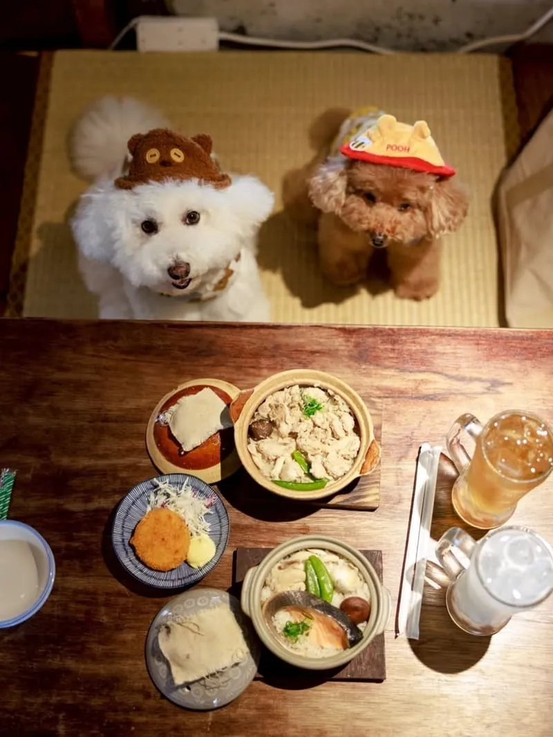 海森 Hisun|嘉義寵物友善老宅食堂,帶毛孩一起吃陶鍋炊飯 6 海森 Hisun|嘉義寵物友善老宅食堂