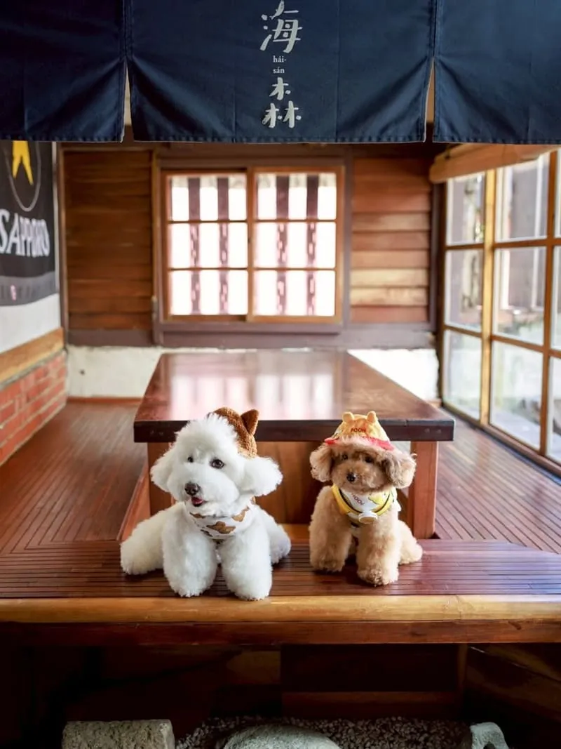 海森 Hisun|嘉義寵物友善老宅食堂,帶毛孩一起吃陶鍋炊飯 7 海森 Hisun|嘉義寵物友善老宅食堂