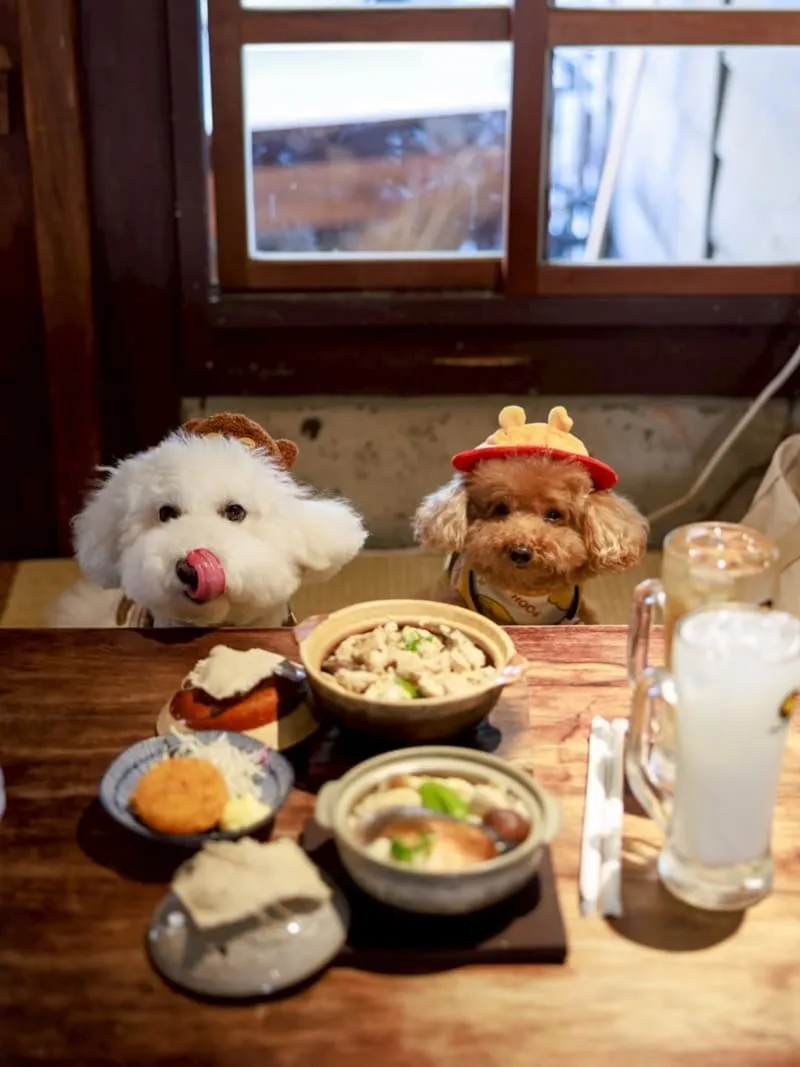 海森 Hisun|嘉義寵物友善老宅食堂,帶毛孩一起吃陶鍋炊飯 8 海森 Hisun|嘉義寵物友善老宅食堂