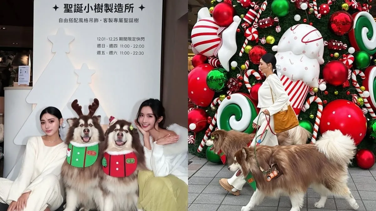 聖誕小樹製造所