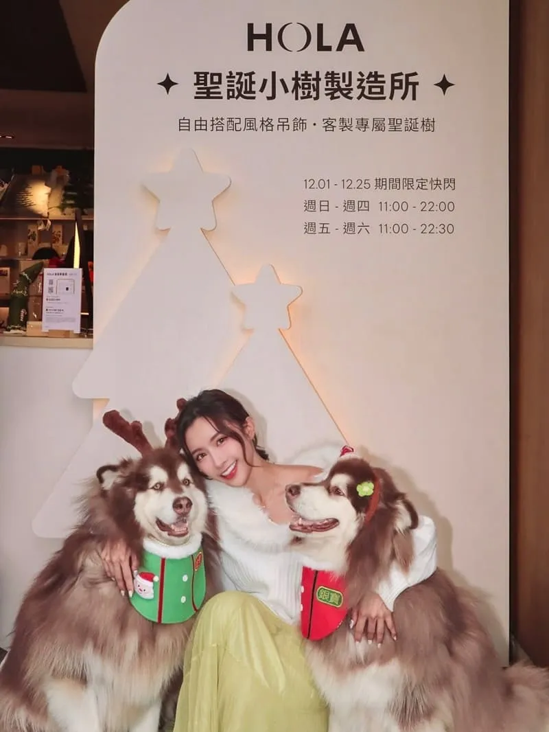 聖誕小樹製造所