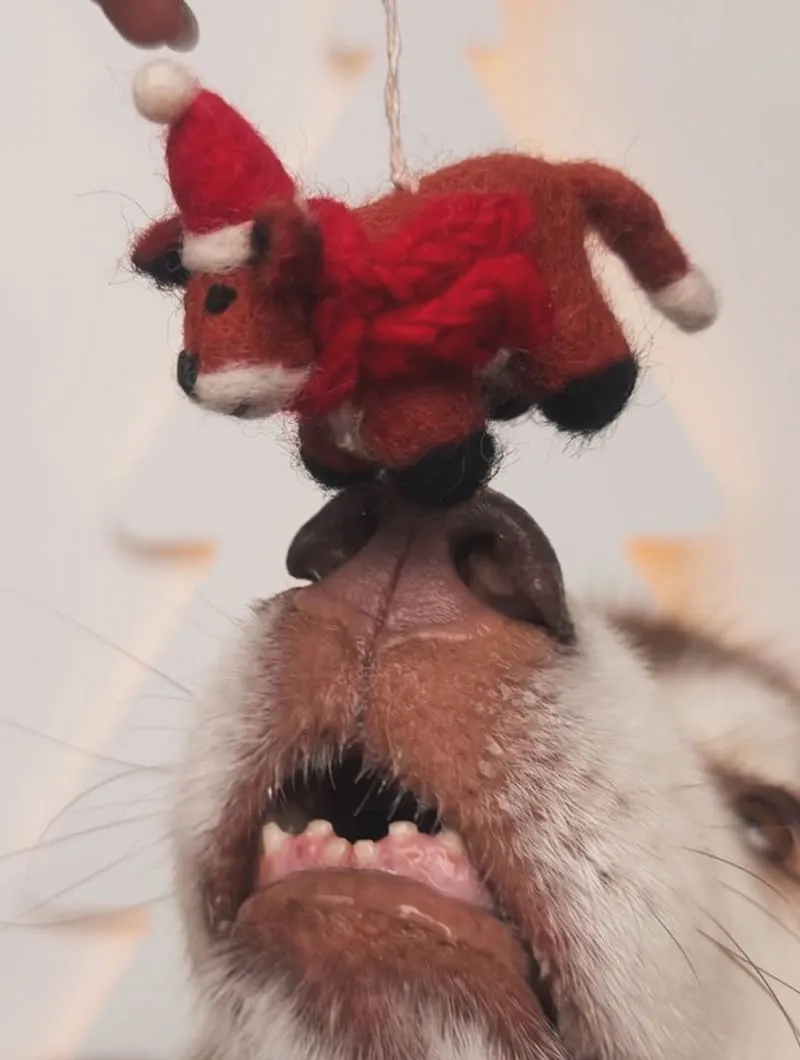 聖誕小樹製造所