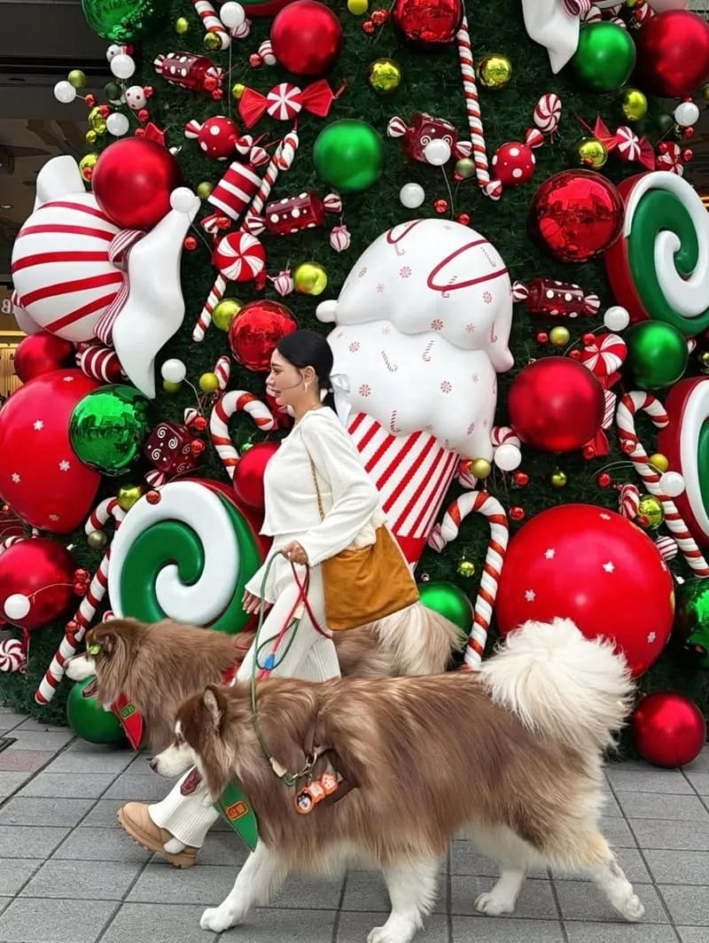 聖誕小樹製造所