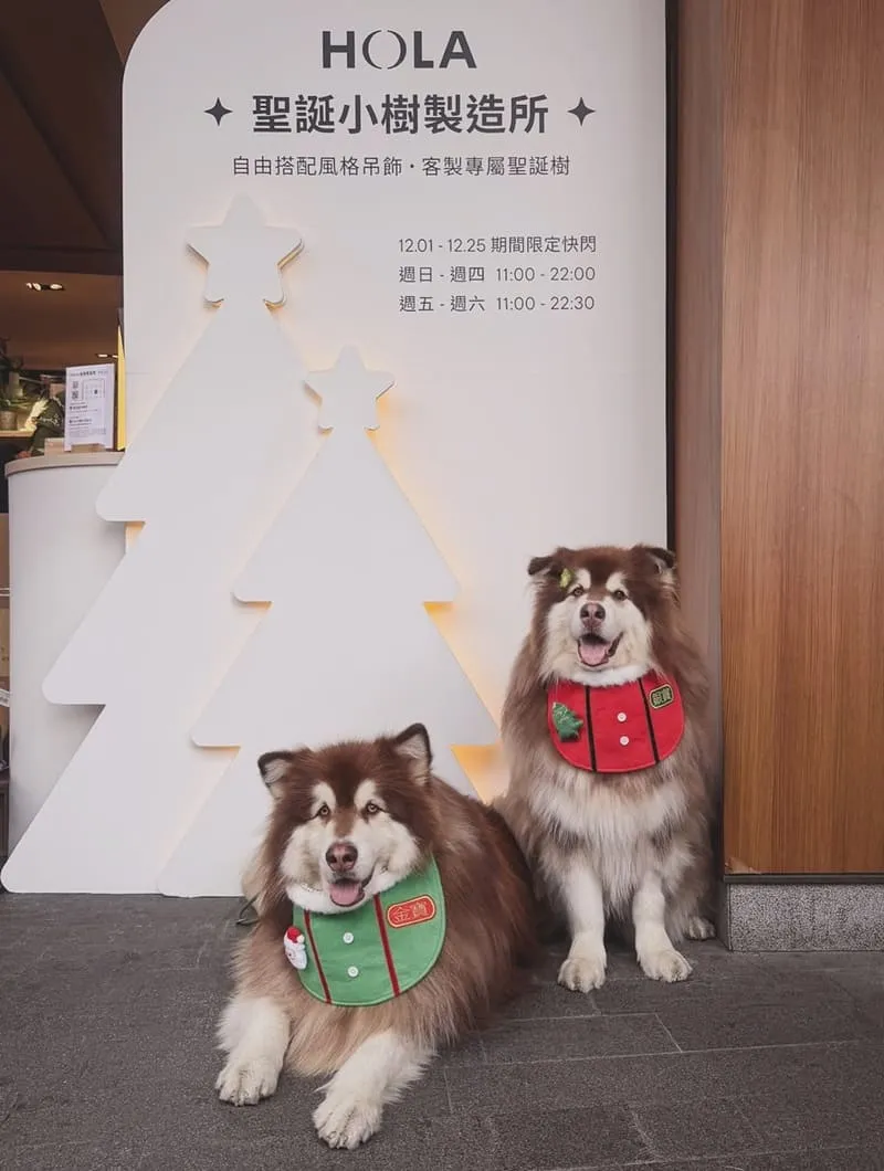 聖誕小樹製造所