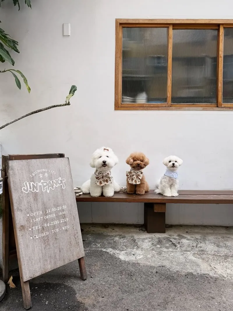 金香JIN PANG|台中北屯寵物友善規範:訂位規則、低消限時與推車入內 15 金香JIN PANG|台中北屯寵物友善餐廳
